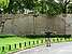 p1000597_medshrp
