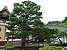 p1000716_medshrp