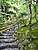 p1000736_medshrp