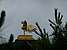 p1000757_medshrp