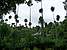 p1000807_medshrp
