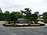 p1000819_medshrp